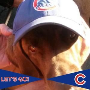 Meet your Posher, Dana